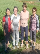 kein Bild vorhanden